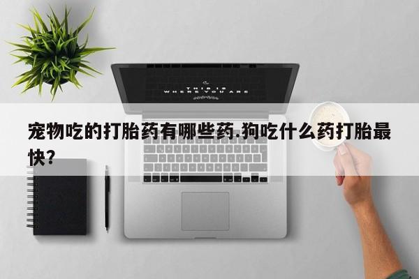 怀孕个月能不能用打胎药宠物吃的打胎药有哪些药.狗吃什么药打胎最快？