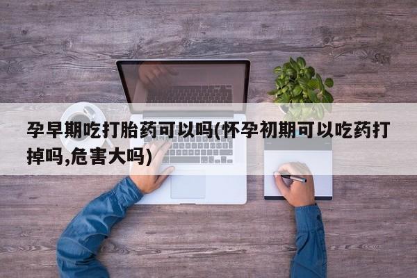 怀孕个月能不能用打胎药孕早期吃打胎药可以吗(怀孕初期可以吃药打掉吗,危害大吗)